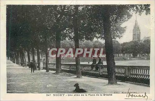 Ansichtskarte AK Niort Une allee de la Place de la Breche