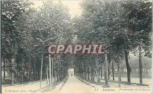 Cartes postales Amiens Promenade de la Hotoie