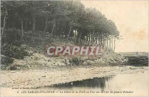 Cartes postales Les Sables D'Olonne La Lisiere de la Foret de Pins sur la Cote St Jean L'Orbestier