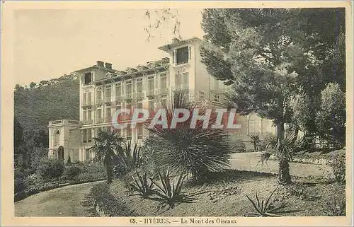 Cartes postales Hyeres Le Mont des Oiseaux