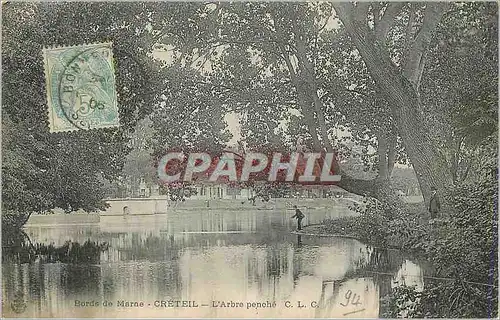 Cartes postales Bords de Marne Creteil L'Arbre penche