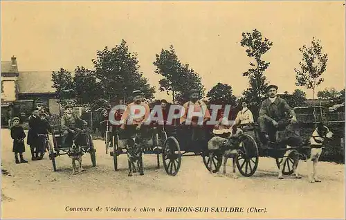 REPRO Concours de Voitures a chien a Brinon sur Sauldre (Cher)