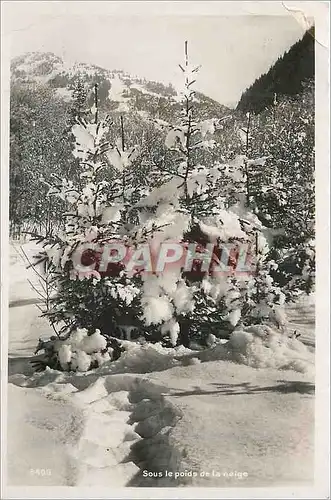 Moderne Karte Sous le Poids de la Neige