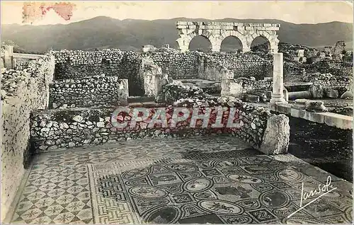 Cartes postales moderne Volubilis Mosaique des Traveaux d'Hercule
