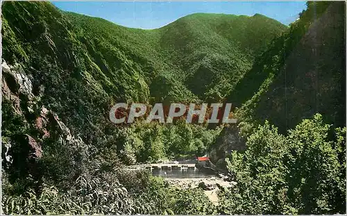 Cartes postales moderne Amelie les Bains (P O) Perle des Pyrenees Piscine des Gorges du Mondony