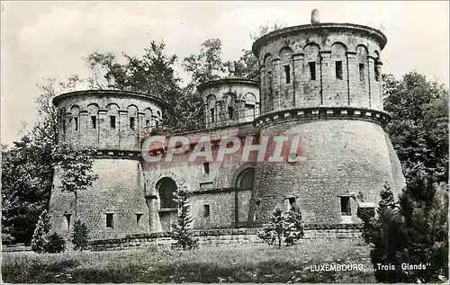 Cartes postales moderne Luxembourg Trois Glands