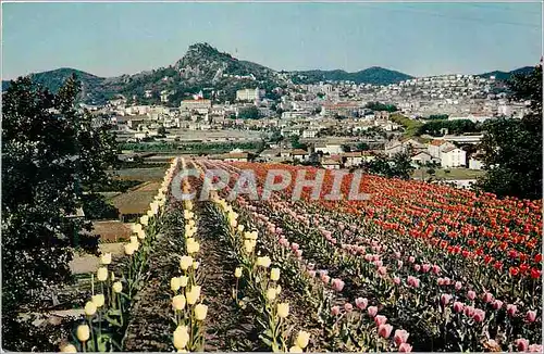 Cartes postales moderne Hyeres les Palmiers La Cote d'Azur French Riviera Vue Generale