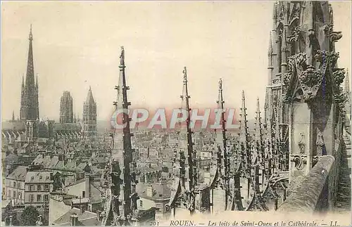 Cartes postales Rouen Les Toits de Saint Ouen et la Cathedrale