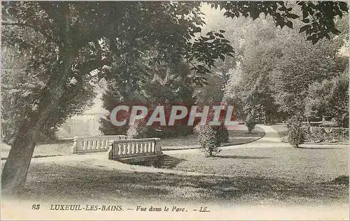 Ansichtskarte AK Luxeuil les Bains Vue dans le Parc