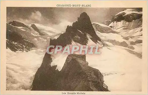 Ansichtskarte AK Chamonix Mont Blanc Les Grands Mulets