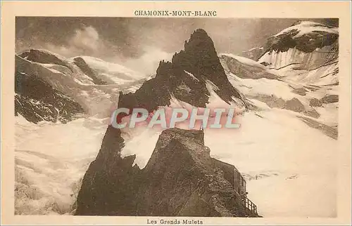 Cartes postales Chamonix Mont Blanc Les Grands Mulets