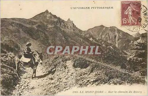 Cartes postales Le Mont Dore L'Auvergne Pittoresque Sur le Chemin du Sancy Ane Donkey