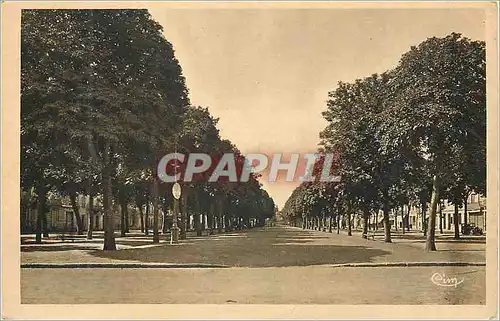 Ansichtskarte AK Chatellerault (Vienne) Le Boulevard Blossac