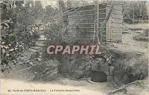 Ansichtskarte AK Foret de Fontainebleau La Fontaine Sanguinede