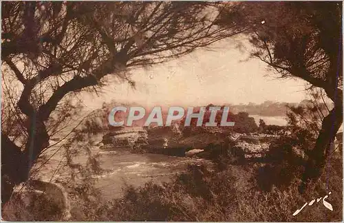 Cartes postales Biarritz les Rochers Gamaritz Toute la France