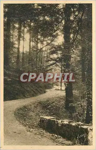 Cartes postales Les Alpes Route de la Grande Chartreuse la Douce France