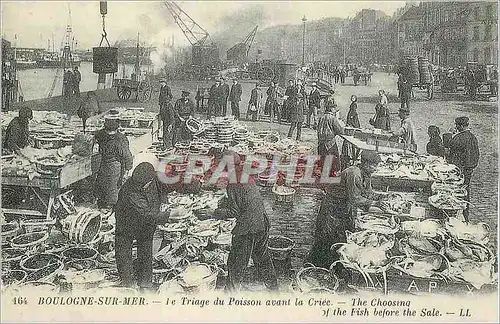 REPRO Boulogne sur Mer Triage du Poisson Avant la Criee