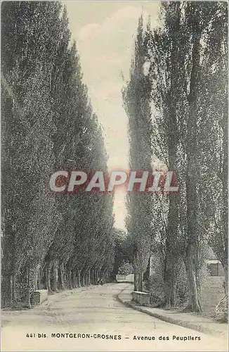 Cartes postales Montgeron Crosnes Avenue des Peupllers