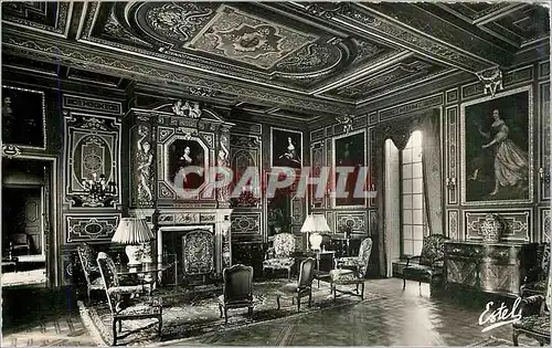 Moderne Karte Le Chateau de Cheverny Le Grand Salon