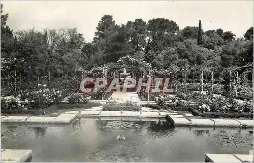 Cartes postales moderne Madrid Retiro Rosiers