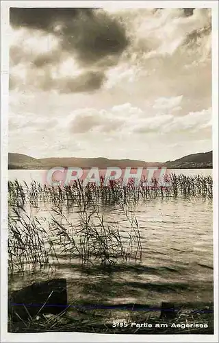 Cartes postales moderne Partie am Aegerisee
