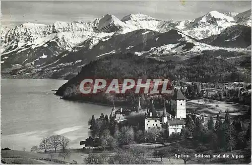Cartes postales moderne Spiez Schloss und die Alpen