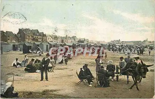 Cartes postales Berck Plage Ane Donkey
