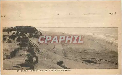 Ansichtskarte AK Berck Plage La Baie d'Authie et les Dunes