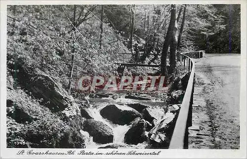 Cartes postales moderne St Goarshausen Rh Partie im Schonen Schweizertal