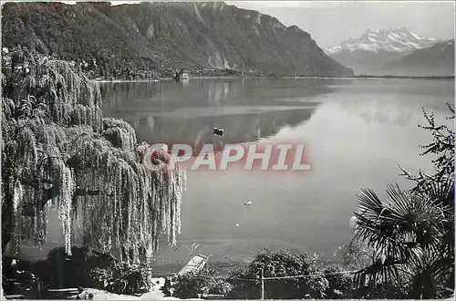 Cartes postales moderne Montreux Le Lac et les Dents du Midi