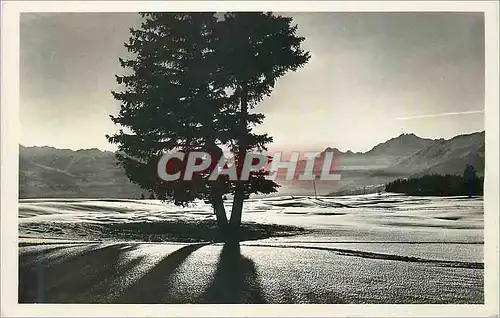 Cartes postales moderne Crans sur Sierre alt 1500 m Tous les Sports d'Hiver et d'Ete Coucher du Soleil sur le Plateau