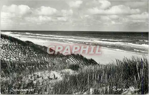Cartes postales moderne Scheveningen Zee en Duin
