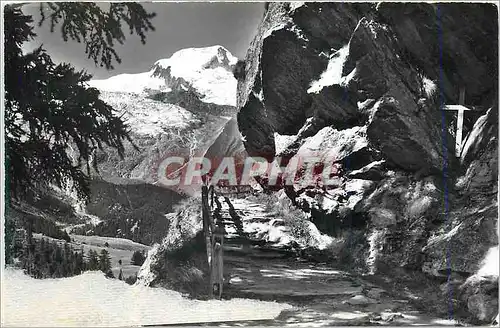 Cartes postales moderne Der Kapellenweg bel Saas Fee Alphubel