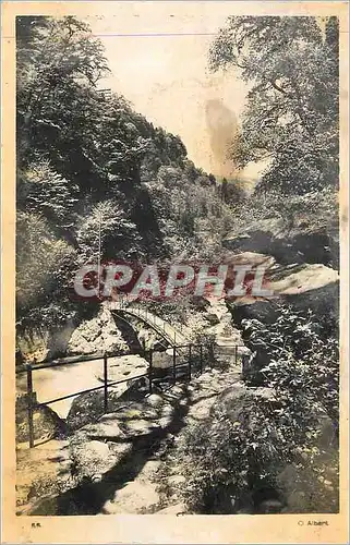 Cartes postales moderne Dauphine Isere Allevard les Bains (475 m) Promenade du Bout du Monde