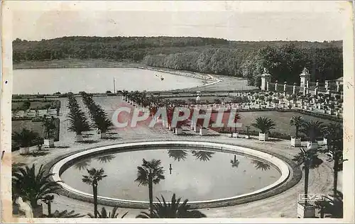 Cartes postales moderne Versailles L'Orangerie et Place des Suisses