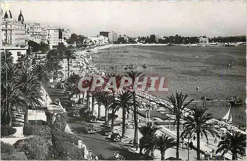 Cartes postales moderne Cannes La Cote d'Azur La Croisette