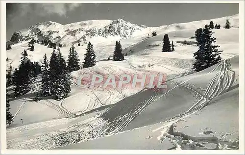 Cartes postales moderne Parsenn Kublis Route der Alpen Garien