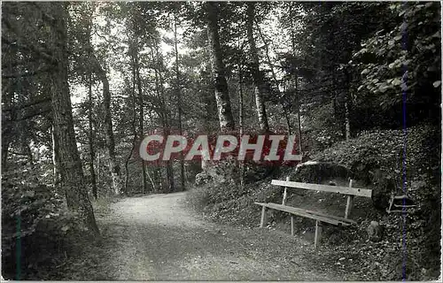 Cartes postales moderne Le Chemin des Dames entre Les Marecottes et les Granges Militaria