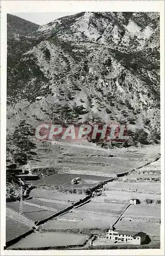 Cartes postales moderne Alpages