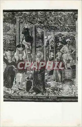 Cartes postales moderne Pisa Camposanto Particolare della Vendemmia B Gozzoli