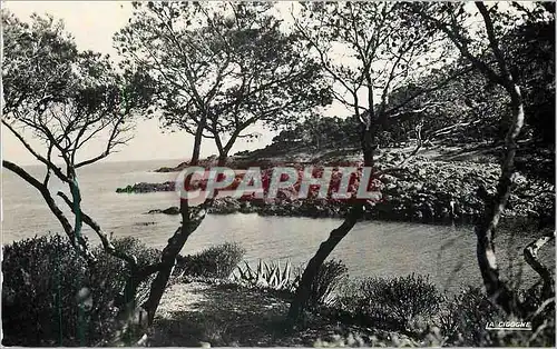 Cartes postales moderne La Corniche d'Or (Var) Une Calanque