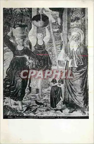 Cartes postales moderne Pisa Composanto Particolare Della Vendemmia
