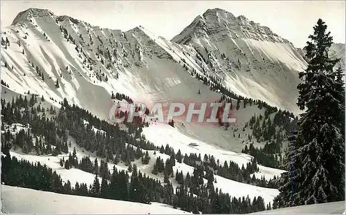 Cartes postales moderne Vanil