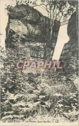 Cartes postales Saint Die Les Rochers Saint Martin