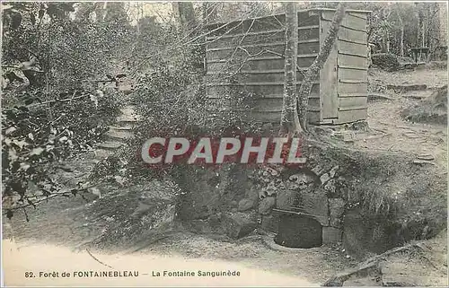 Ansichtskarte AK Foret de Fontainebleau La Fontaine Sanguinede