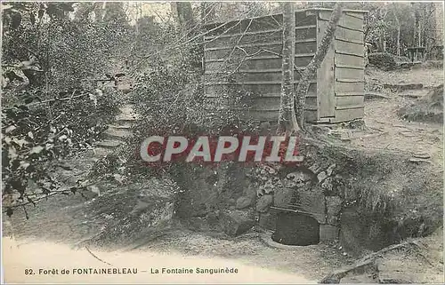 Cartes postales Foret de Fontainebleau La Fontaine Sanguinede