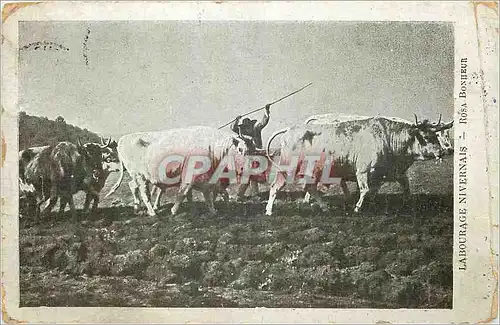 Cartes postales Labourage Nivernais Rosa Bonheur