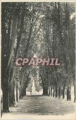 Cartes postales Avranches Jardin de l'Eveche L'Allee des Tilleuls