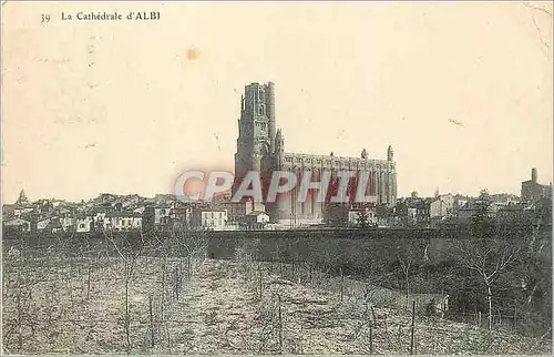 Cartes postales La Cathedrale d'Albi