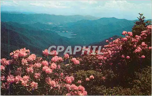 Cartes postales moderne Asheville Watershed Western North Carolina